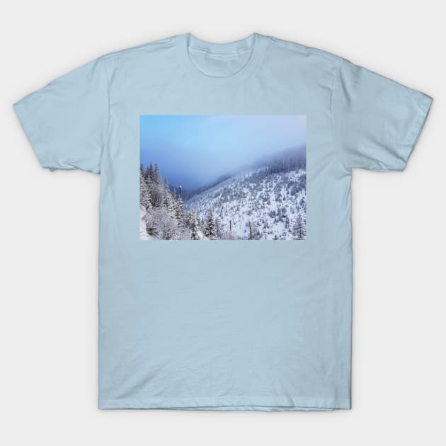 Snowy Mountains T-Shirt by Kate-P-